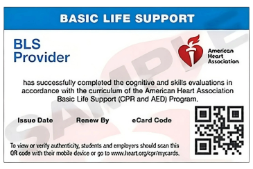Basic Life Support certification card from the American Heart Association.