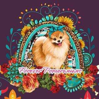 Forever Pomeranians