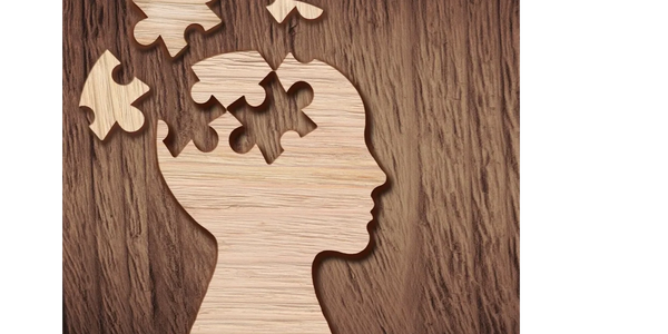 Silhouette of a head with puzzle pieces representing brain injury or cognitive rehabilitation