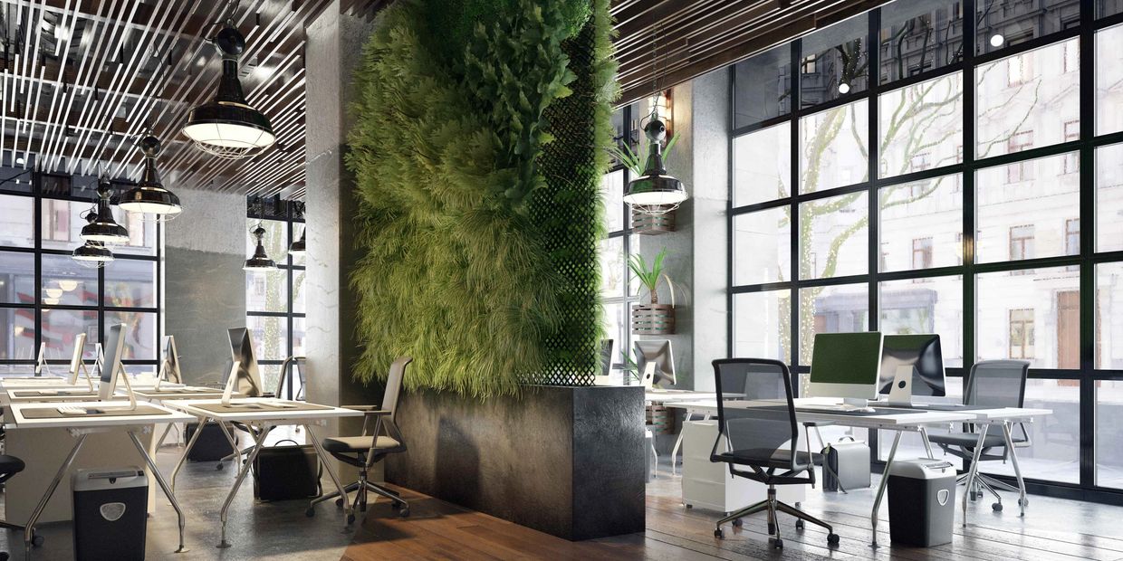 Modern office with green wall and large windows providing natural light.