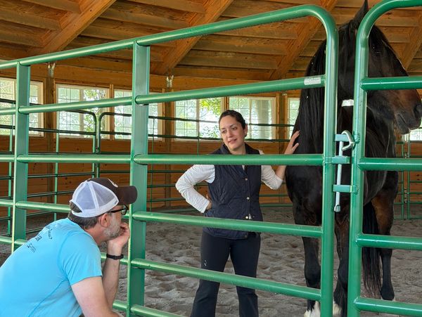 Two people interact with a black horse inside a green fenced area.