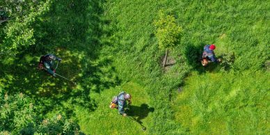 3 guys weed whacking