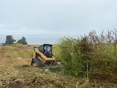 Tractor mowing weeds for fire clearance.