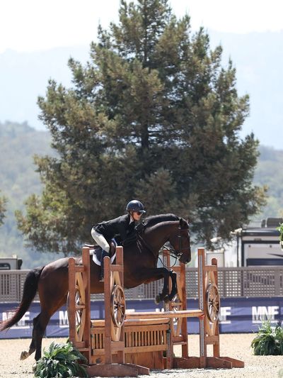 Equestrian rider jumping over an obstacle with a horse in an outdoor arena.