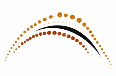 Curved design with brown and black dots on white background.