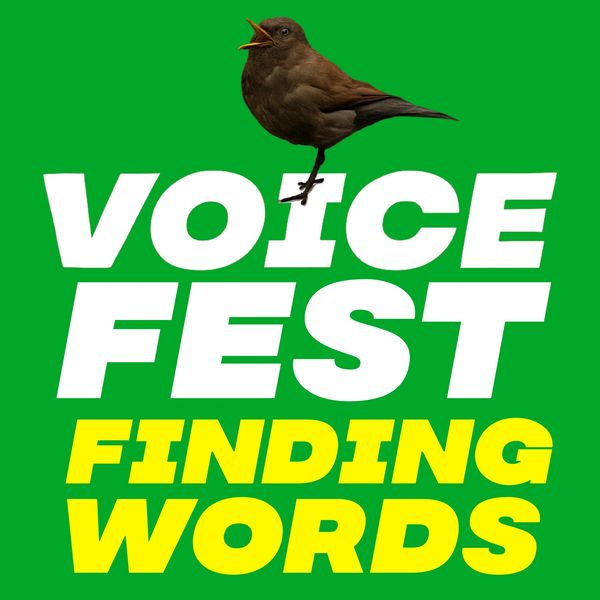 'Finding Words' project for primary schools in Brechin