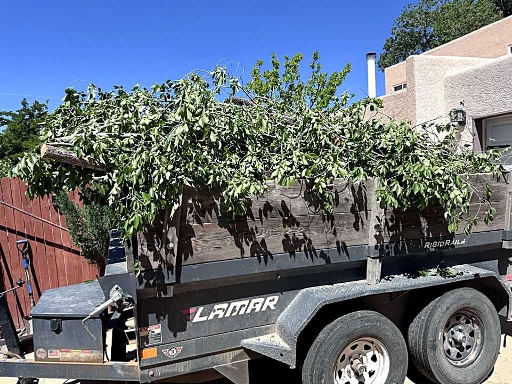 Trailer loaded with tree branches and logs.