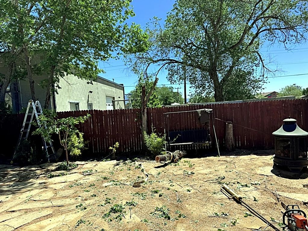 Backyard with tree cutting debris and tools.