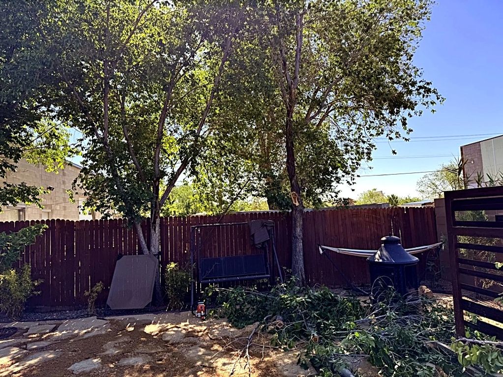 Backyard with fallen tree branches and a hammock.