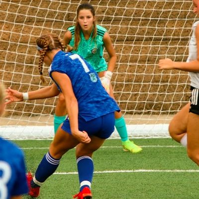 Female soccer player in blue preparing to kick ball near goal with goalkeeper in green.