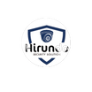 Hirundo Security Solutions