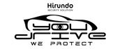 Hirundo Security Solutions
