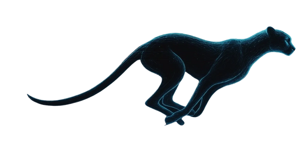 Speed, precision, and performance. BRX Digital delivers fast, agile, and high-impact solutions