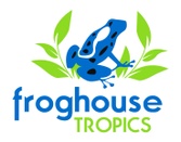 Frog House Tropics