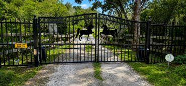 Black metal gates with horse decorations at a driveway entrance.