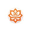 Xiu Ning Wellness