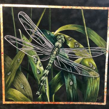 Dragonfly at Rest, 14 x 14, coloured pencil on suede - SOLD