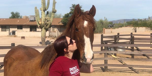 Woman kissing a horse on a ranch in front of a saguaro. 
