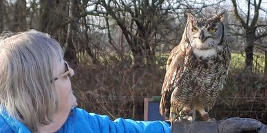 A woman in blue holding a perched owl outdoors.