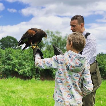 A child holding a bird of prey on a gloved hand with an instructor nearby.