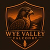 Wye Valley Falconry