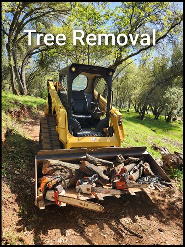 Tree removal equipment with chainsaws and logs on a skid steer loader.