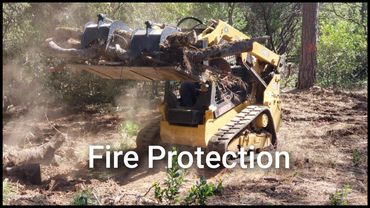 A skid steer loader clearing brush for fire protection in a forest.