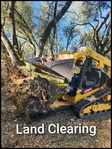 Yellow skid steer clearing land by uprooting a large tree stump.