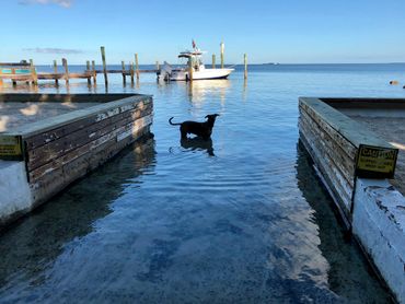 White Gate Court - Pet Friendly Florida Keys Boutique Resort