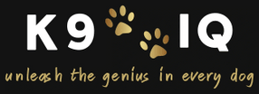 K9 IQ