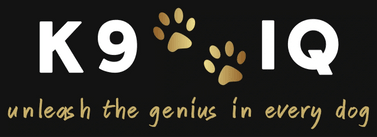 K9 IQ