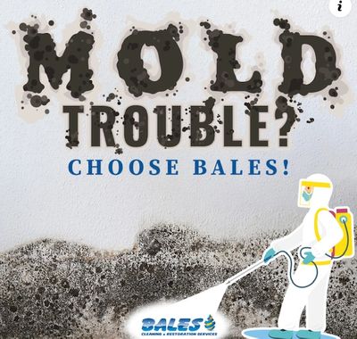 a sign made of mold that says, "mold trouble? choose bales."