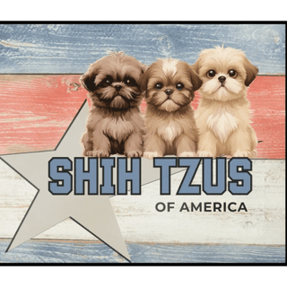 Your Trusted Source for Quality Home Raised
 Shih Tzus