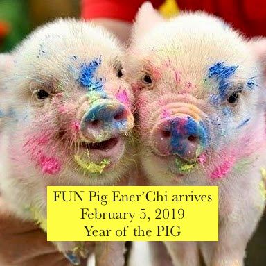 Pigs Month Year of the Pig