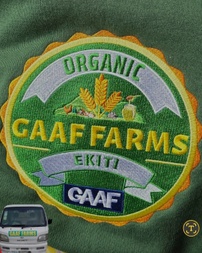 Gabriel Adewunmi Alabi Foundation (GAAF)