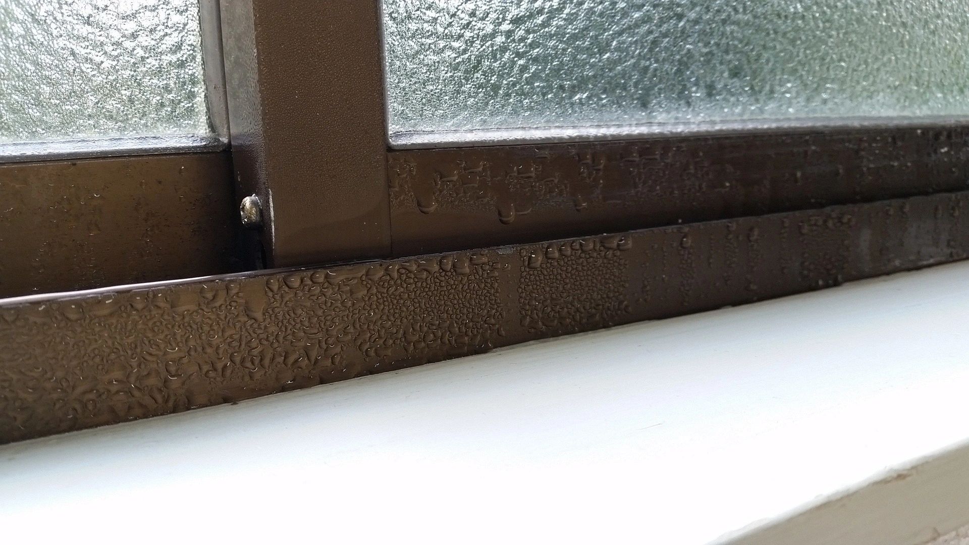Condensation on Your Windows in the Winter?