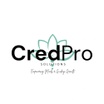 CredPro Solutions