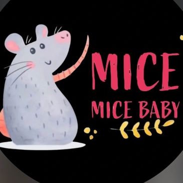 Cute cartoon mouse with 'MICE MICE BABY' text on black background.