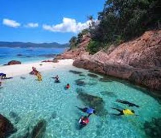 People snorkeling in clear blue water near a rocky shore with greenery.