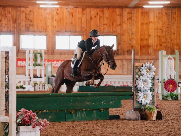 A rider and horse jump over an obstacle in an indoor equestrian arena.