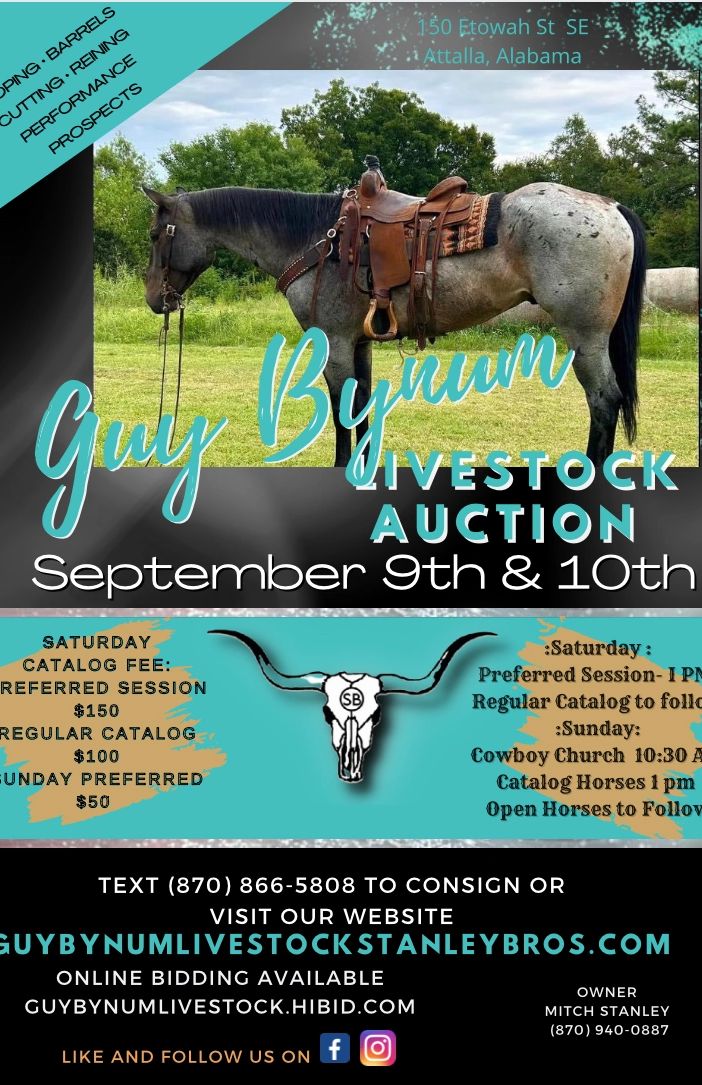 Guy Bynum Livestock Stanley Bros Auction, Horse Sale