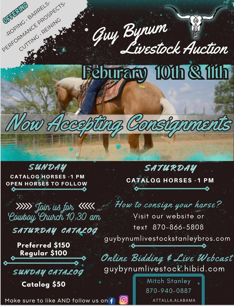 Guy Bynum Livestock Stanley Bros Auction, Horse Sale