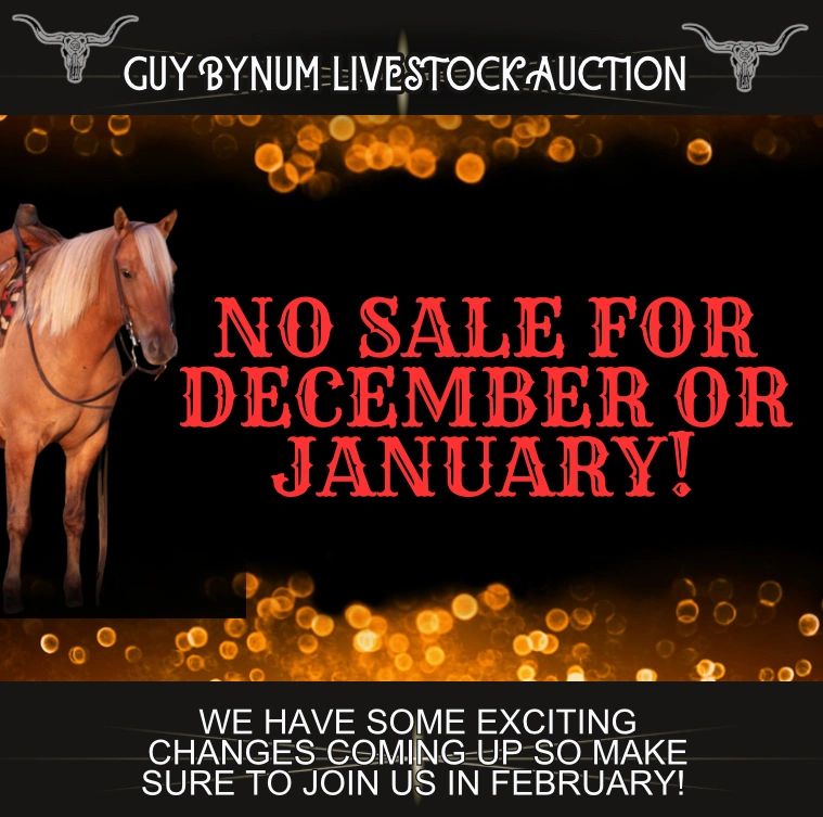 Guy Bynum Livestock Stanley Bros Auction, Horse Sale