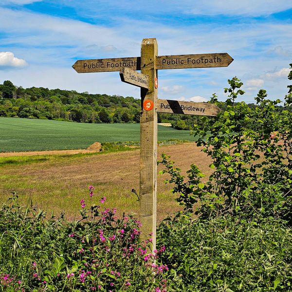 Wooden public footpath sign posted in the countryside 