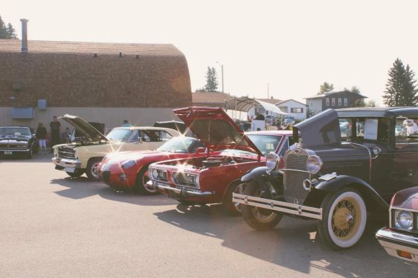 Classic cars lined up at a sunny outdoor car show with some hoods open.