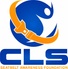 CLS SEATBELT AWARENESS FOUNDATION