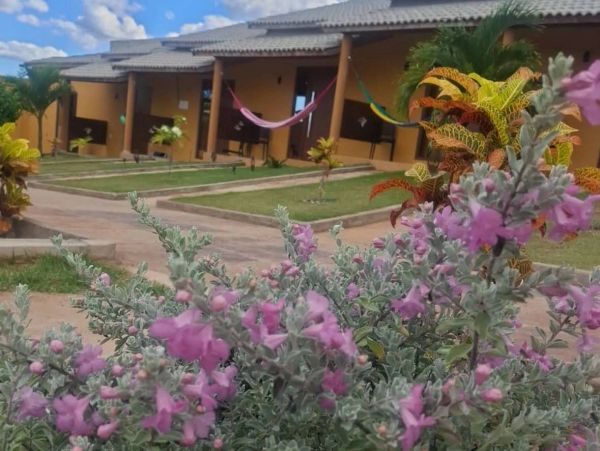 Colorful flowers in front of a row of houses with hammocks under a blue sky.