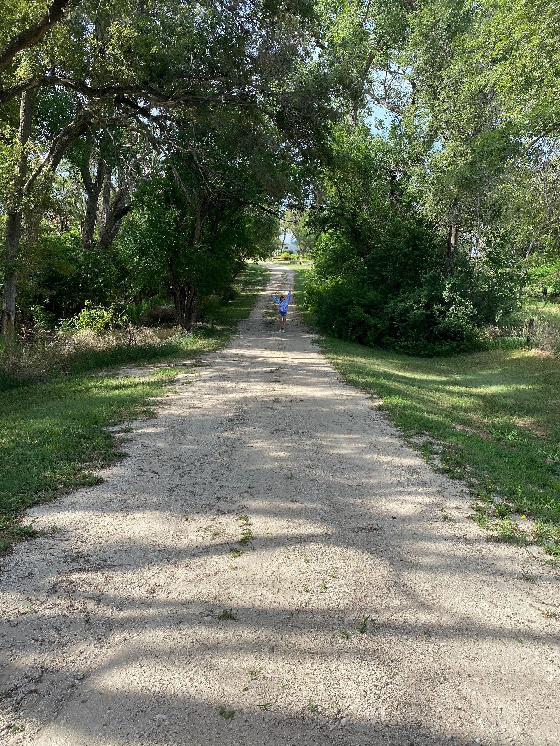 Jodi Schreiber Farms LLC