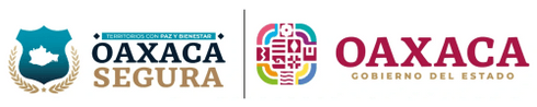 Oaxaca Segura