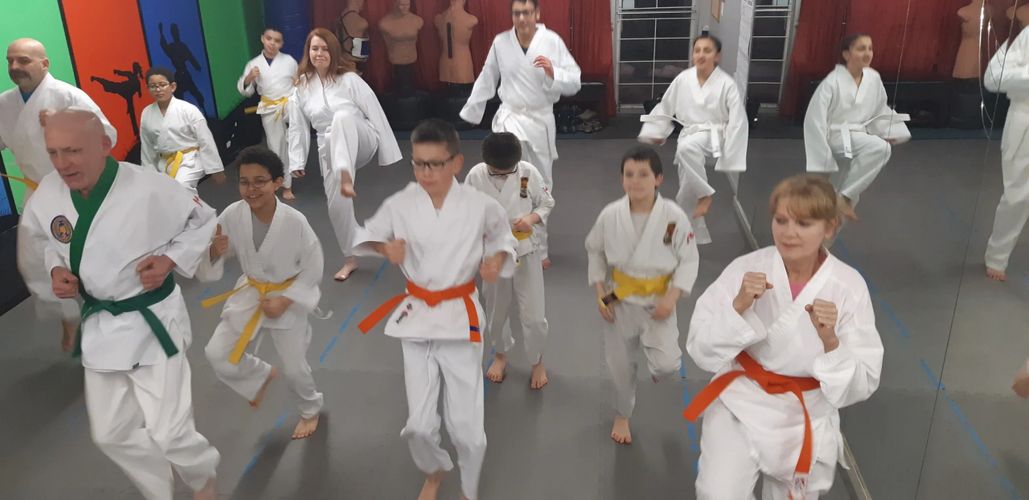 Martial Arts, Karate - Black Belt Academy - Calgary, Alberta